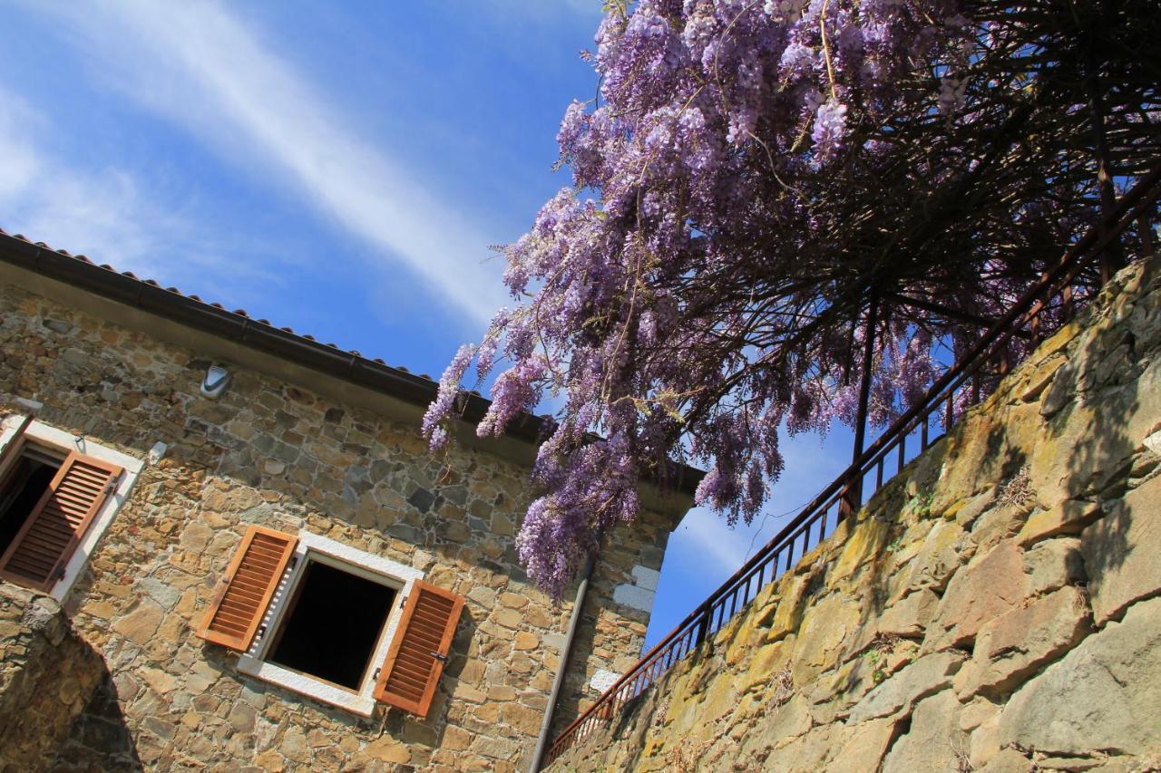 Villa Convento La Perla à Carrare Extérieur photo